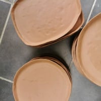 Biscuits d'assiettes ovoides
