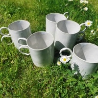 Mugs et paquerettes