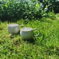 Tasses dans le jardin
