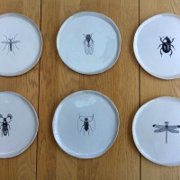 6 assiettes Insectes