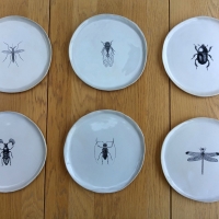 6 assiettes Insectes