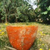 Saladier orange