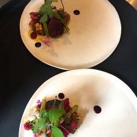 Assiettes Stupéfiant